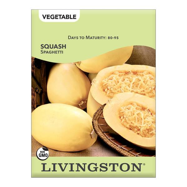 Photo of Spaghetti Squash