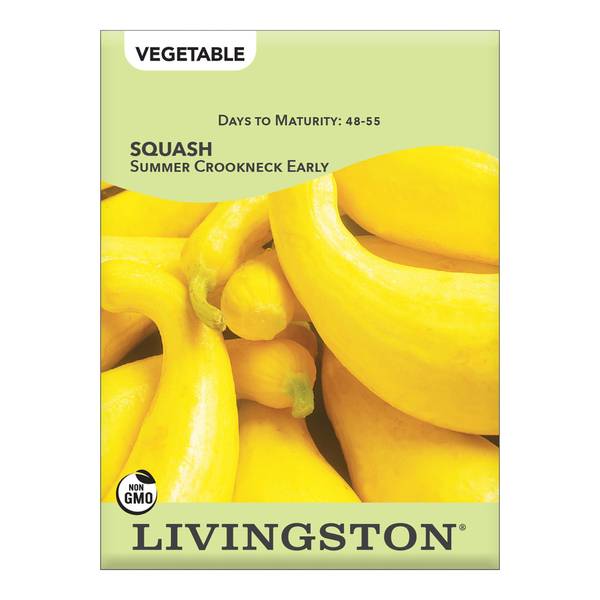 Photo of Summer Crookneck Early Squash
