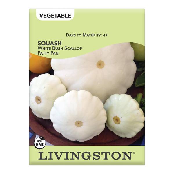 Photo of White Bush Scallop Patty Pan Squash