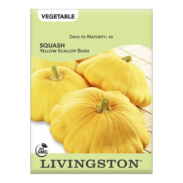Photo of Yellow Scallop Squash