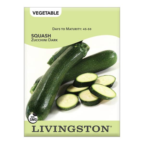 Photo of Dark Zuchinni Squash