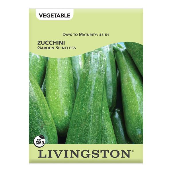 Photo of Garden Spineless Zucchini Squash