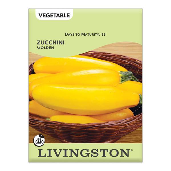 Photo of Golden Zucchini Squash