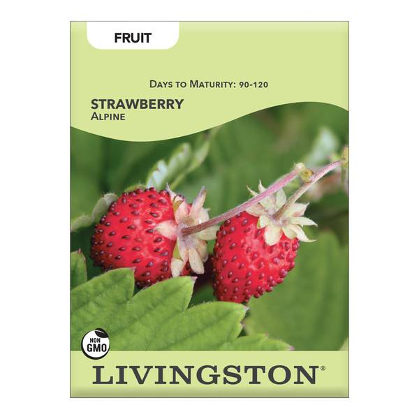 Photo of Alpine Strawberry