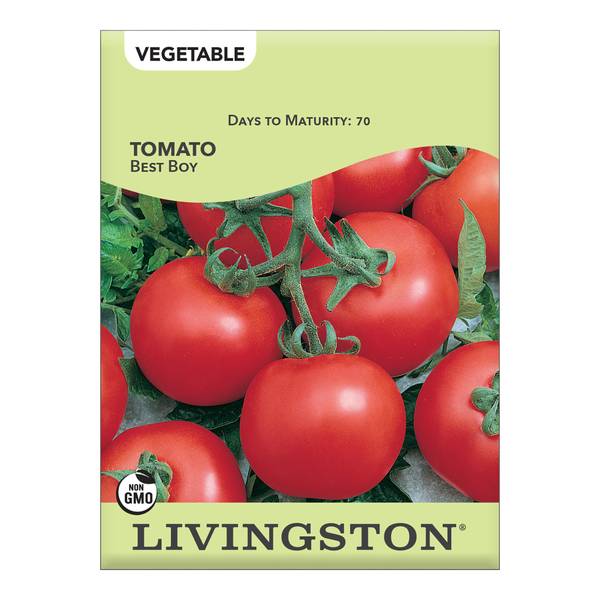 Photo of TOMATO - BEST BOY
