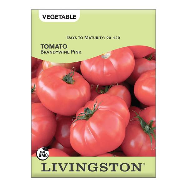 Photo of Brandywine Tomato