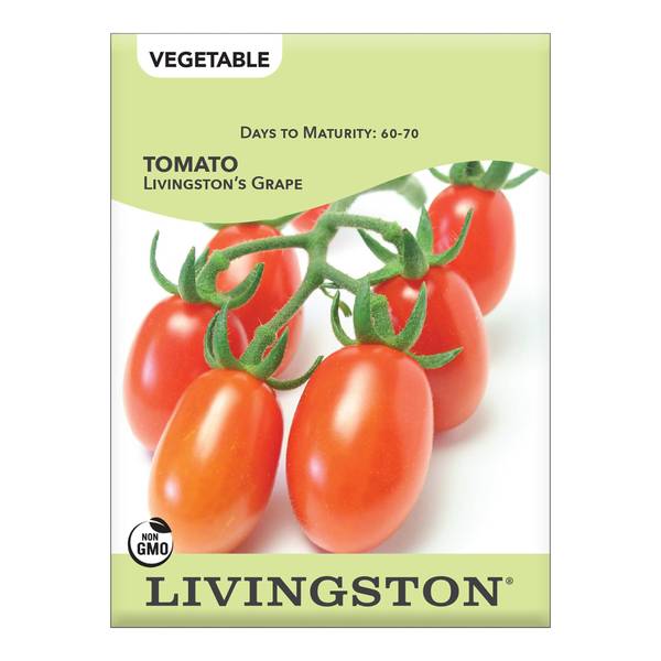 Photo of TOMATO - GRAPE