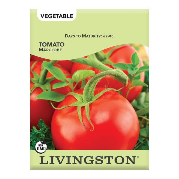 Photo of TOMATO - MARGLOBE