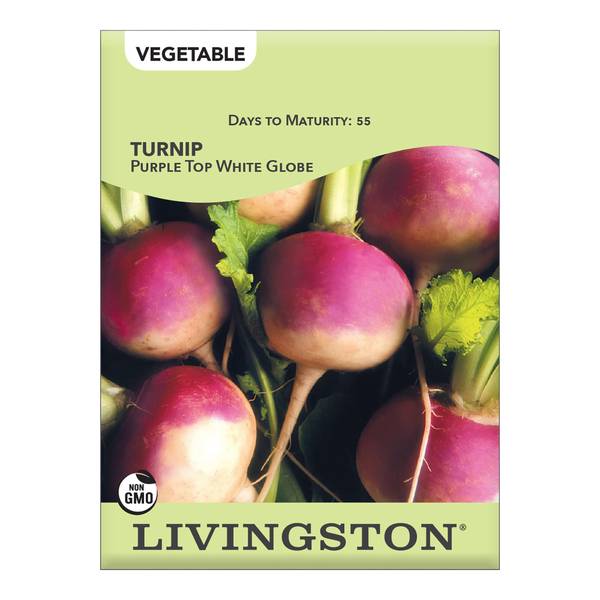 Photo of TURNIP - PURPLE TOP WHITE GLOBE