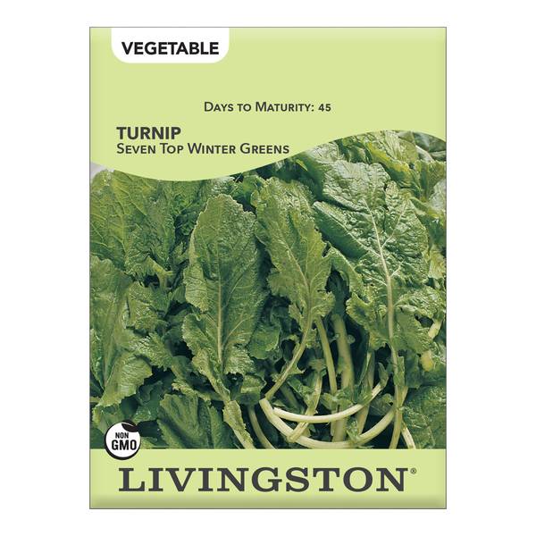 Photo of TURNIP - SEVEN TOP/WINTER GREENS
