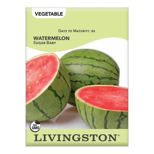 Photo of WATERMELON - SUGAR BABY