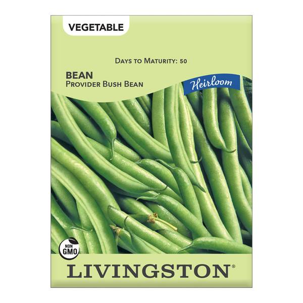 Photo of BEAN - BUSH - HEIRLOOM - PROVIDER