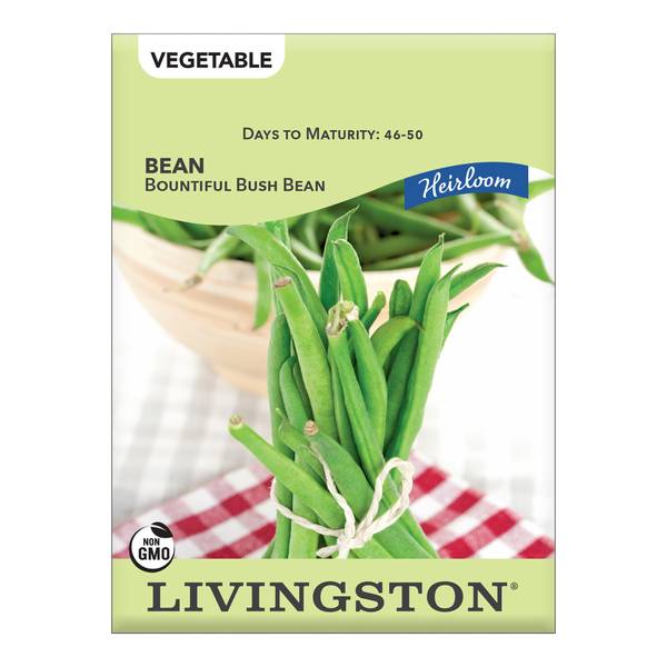 Photo of BEAN - HEIRLOOM - BOUNTIFUL BUSH BEAN
