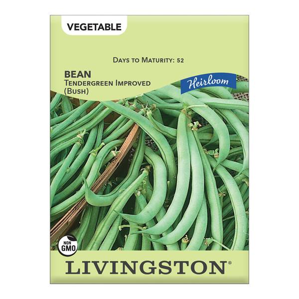 Photo of BEAN - HEIRLOOM - TENDERGREEN