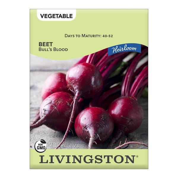 Photo of BEET - HEIRLOOM - BULL'S BLOOD