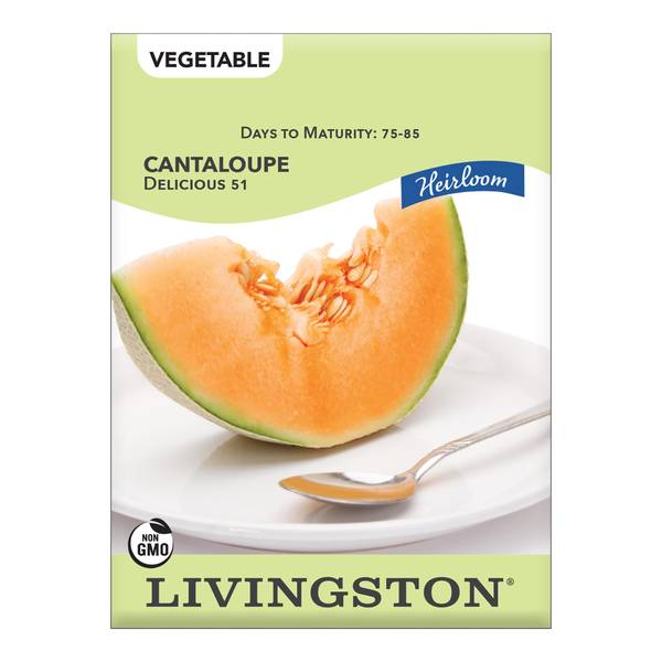 Photo of CANTALOUPE - HEIRLOOM - DELICIOUS 51