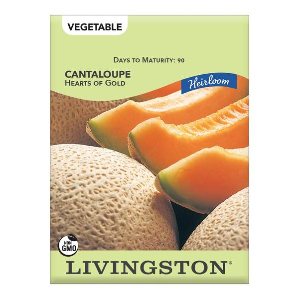 Photo of CANTALOUPE - HEIRLOOM - HEARTS OF GOLD