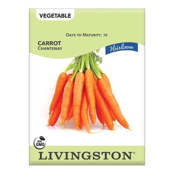 Photo of CARROT - HEIRLOOM - CHANTENAY