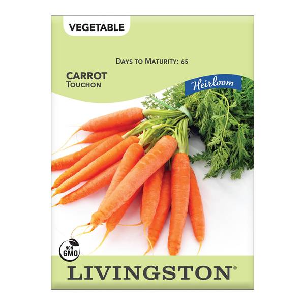 Photo of CARROT - HEIRLOOM - TOUCHON