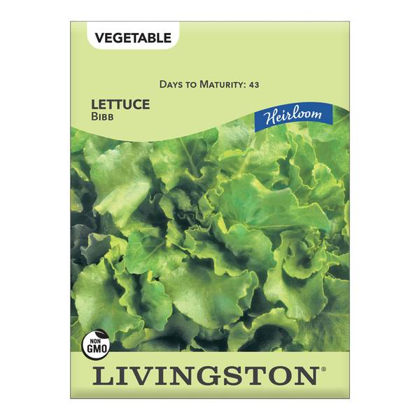 Photo of LETTUCE - HEIRLOOM - BIBB