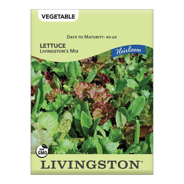 Photo of LETTUCE - HEIRLOOM - LIVINGSTON'S MIX