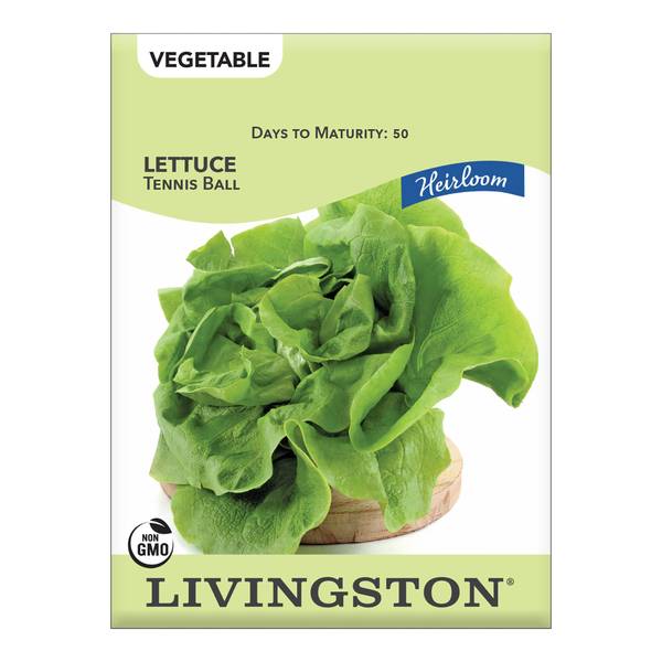 Photo of LETTUCE - HEIRLOOM - TENNIS BALL