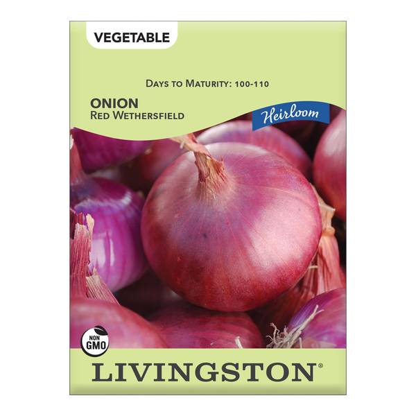 Photo of ONION - HEIRLOOM - RED WETHERSFIELD