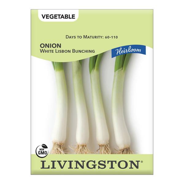Photo of ONION - HEIRLOOM - WHITE LISBON BUNCHING