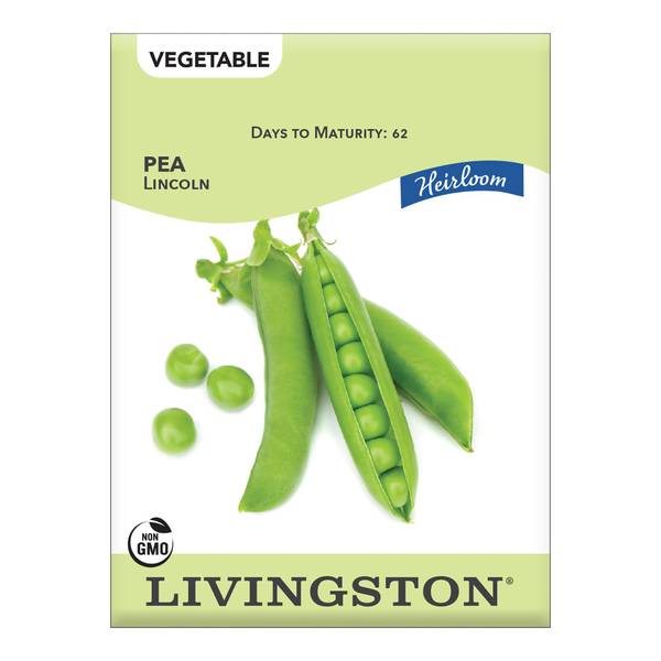 Photo of PEA - HEIRLOOM - LINCOLN