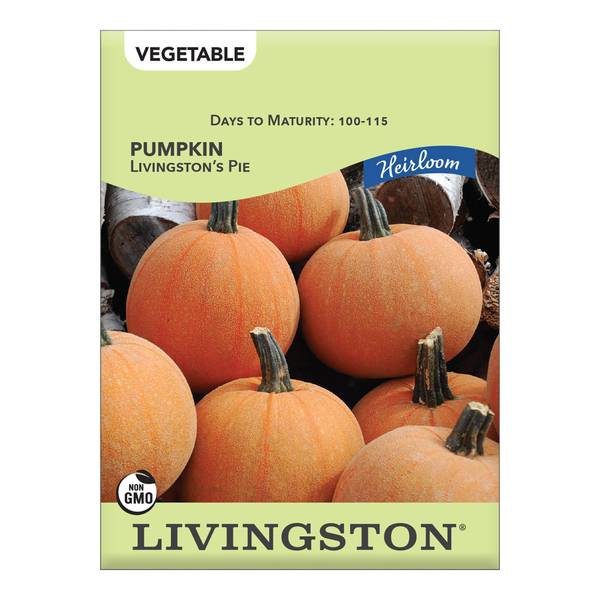 Photo of PUMPKIN - HEIRLOOM - LIVINGSTON'S PIE