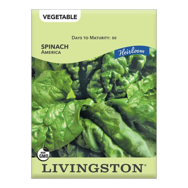 Photo of SPINACH - HEIRLOOM - AMERICA