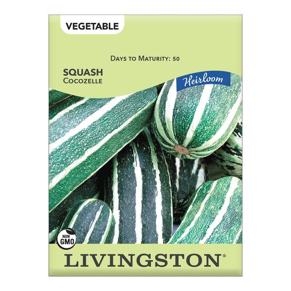 Photo of SQUASH - HEIRLOOM - COCOZELLE