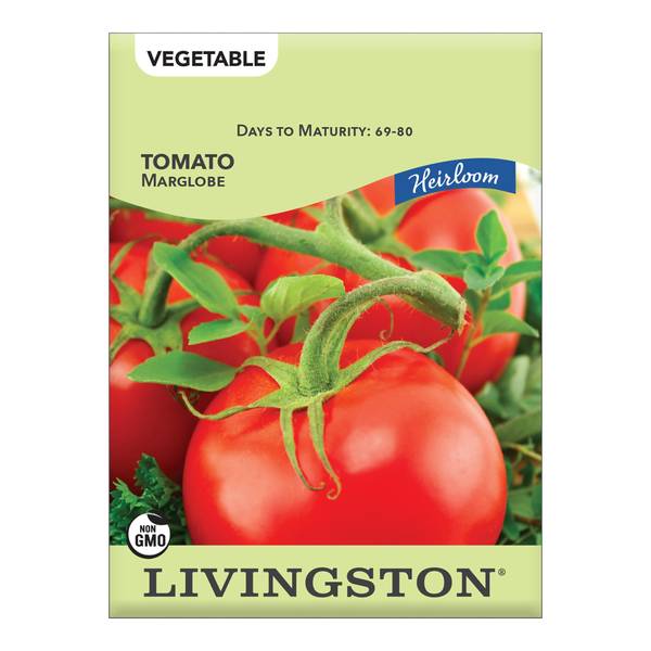Photo of TOMATO - HEIRLOOM - MARGLOBE