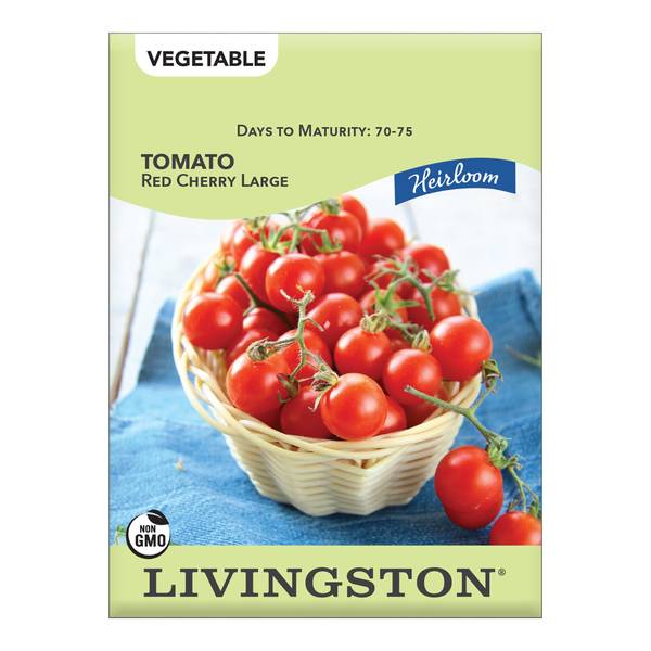 Photo of TOMATO - HEIRLOOM - RED CHERRY LARGE
