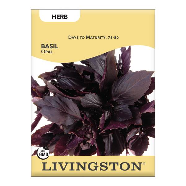 Photo of Opal Basil