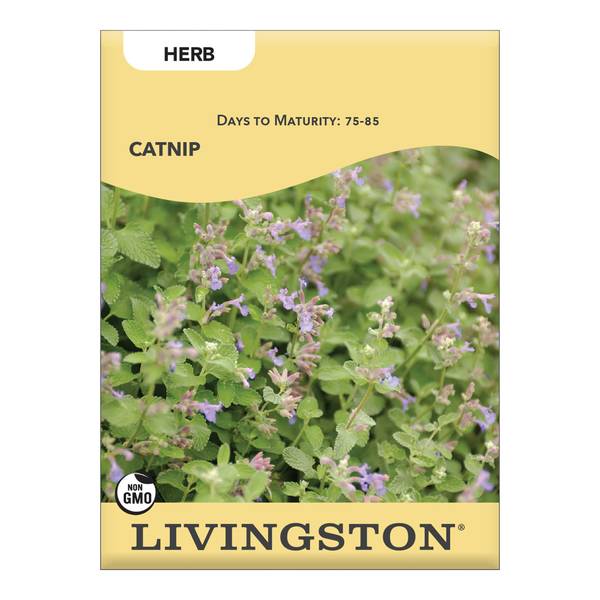 Photo of CATNIP