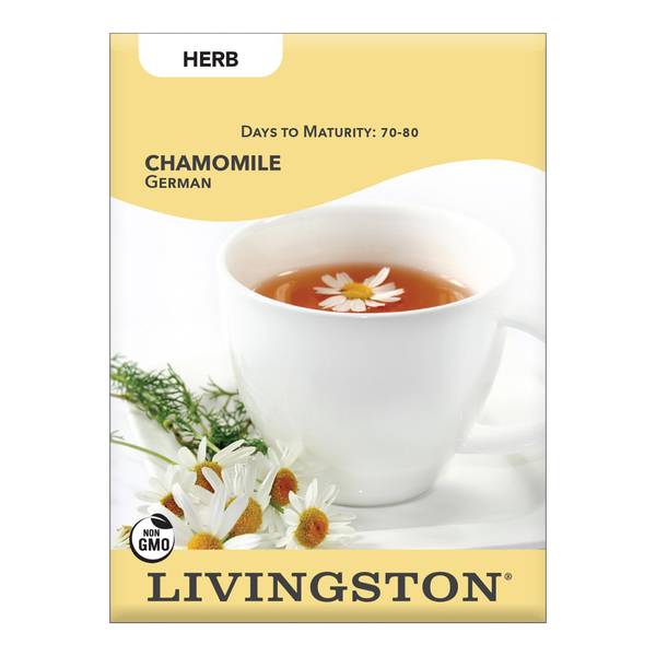 Photo of CHAMOMILE - GERMAN