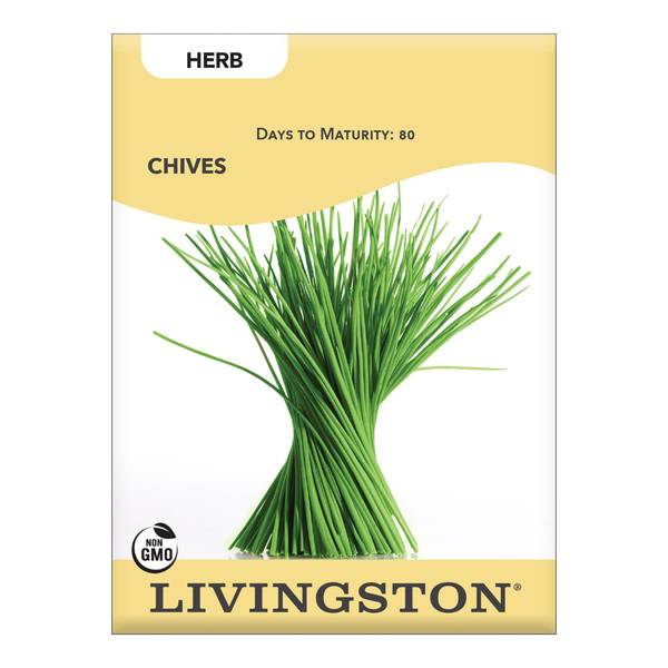 Photo of CHIVES