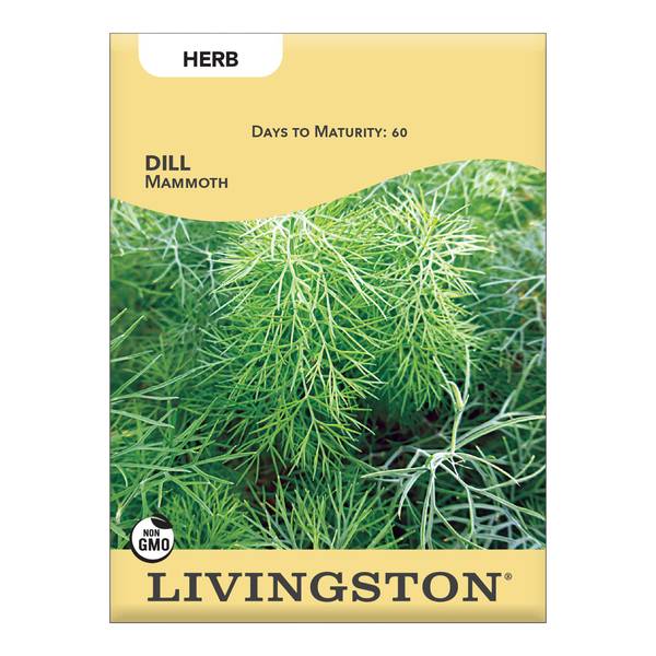 Photo of DILL - MAMMOTH
