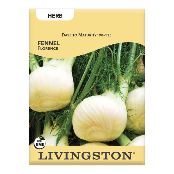 Photo of Florence Fennel