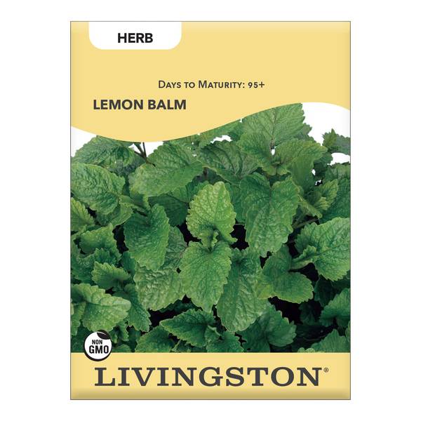 Photo of LEMON BALM
