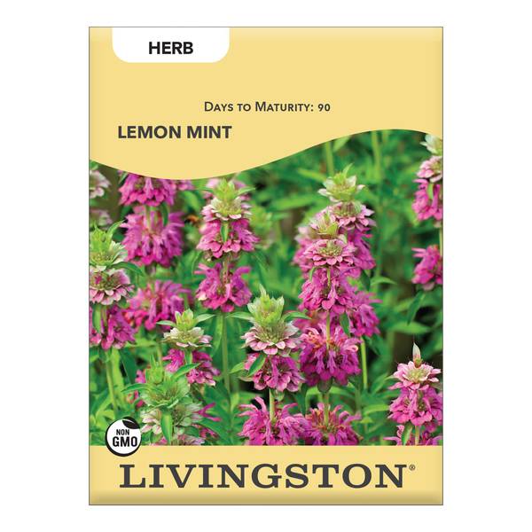 Photo of LEMON MINT