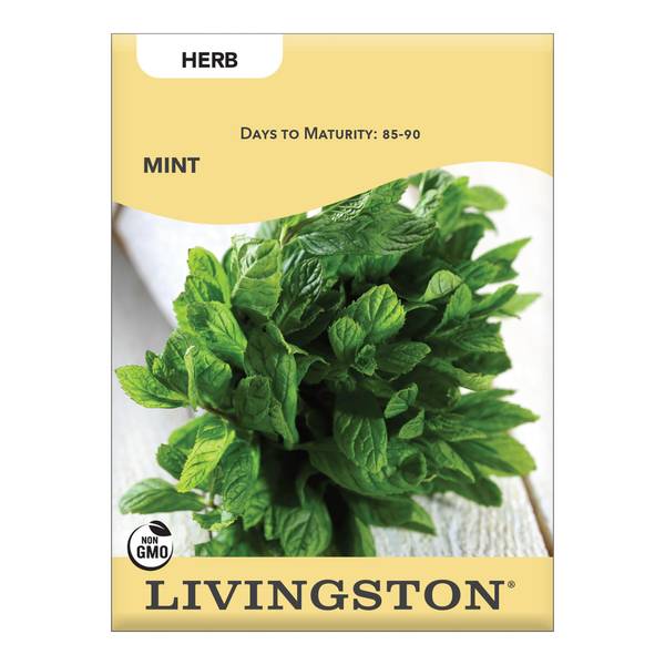 Photo of Mint