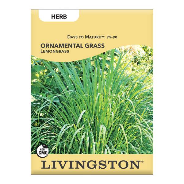 Photo of ORNAMENTAL GRASS - LEMONGRASS
