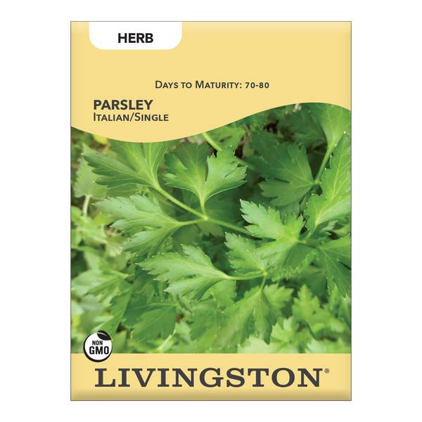 Photo of PARSLEY - ITALIAN/ SINGLE