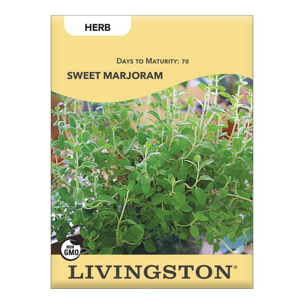 Photo of SWEET MARJORAM