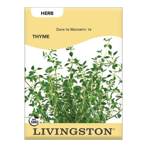 Photo of THYME