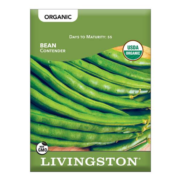 Photo of ORGANIC - BEAN - CONTENDER