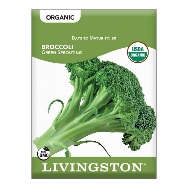 Photo of ORGANIC - BROCCOLI - GREEN SPROUTING
