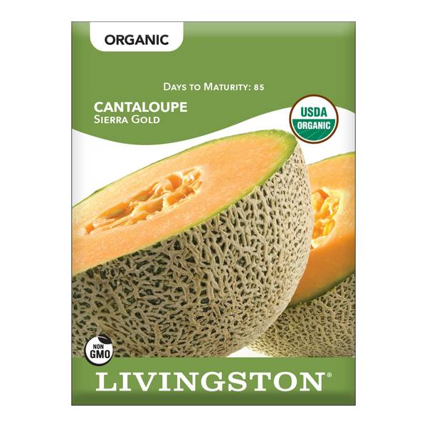 Photo of ORGANIC - CANTALOUPE - SIERRA GOLD